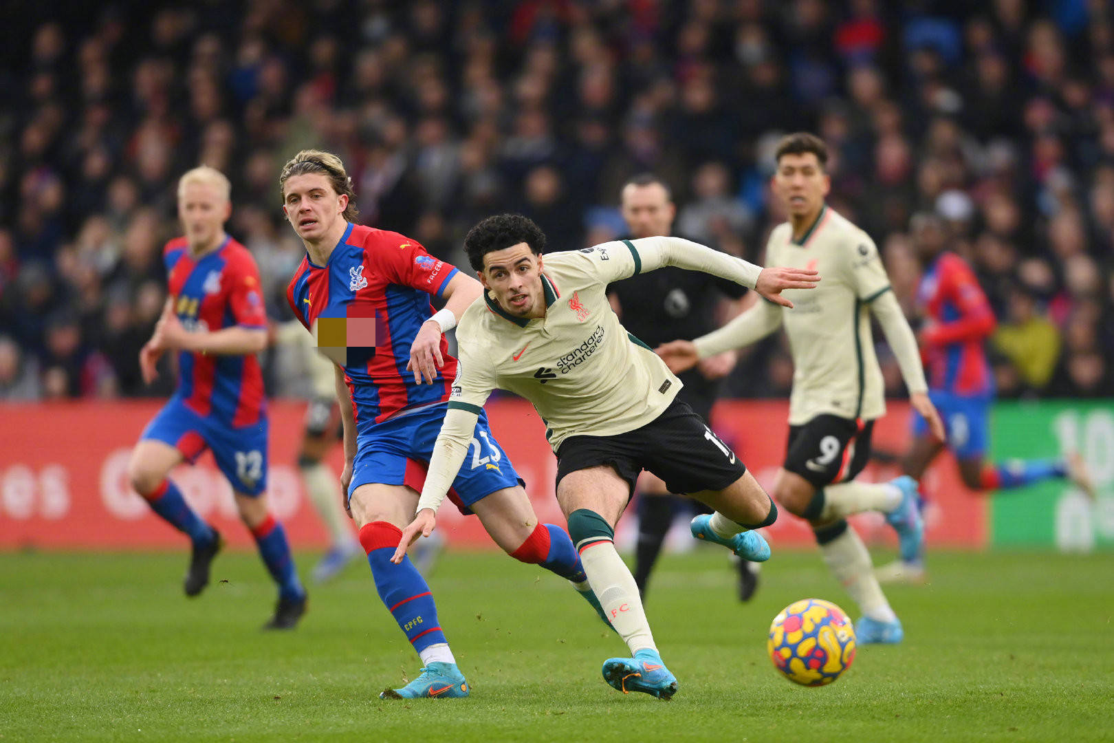 得欧洲杯冠 得欧洲杯冠